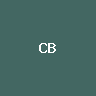 Cerebras (bStocks Tokenized St